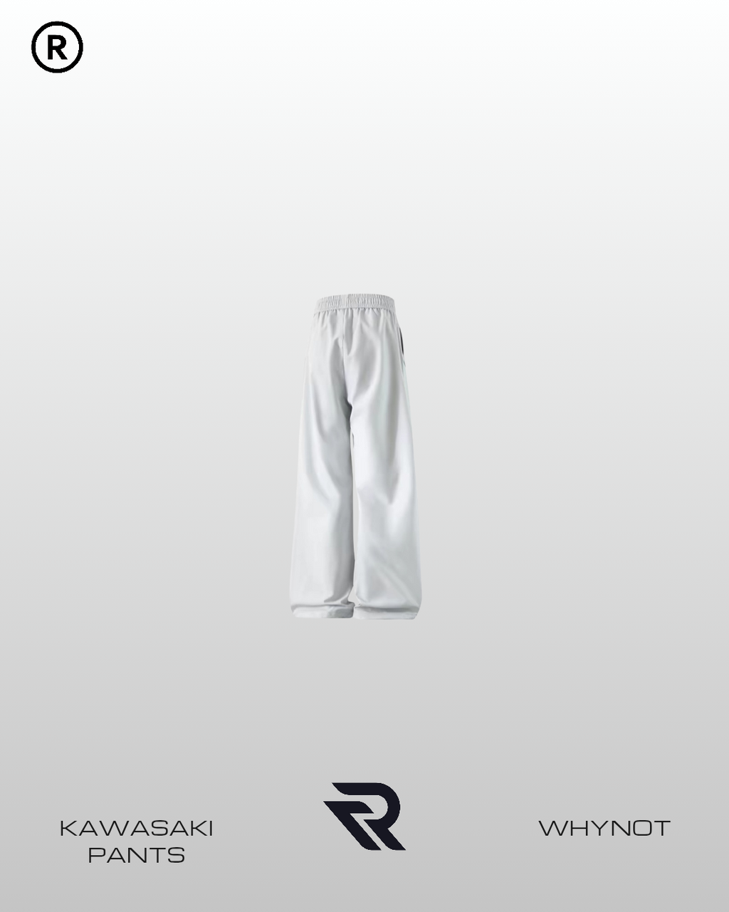 Kawasaki Pants