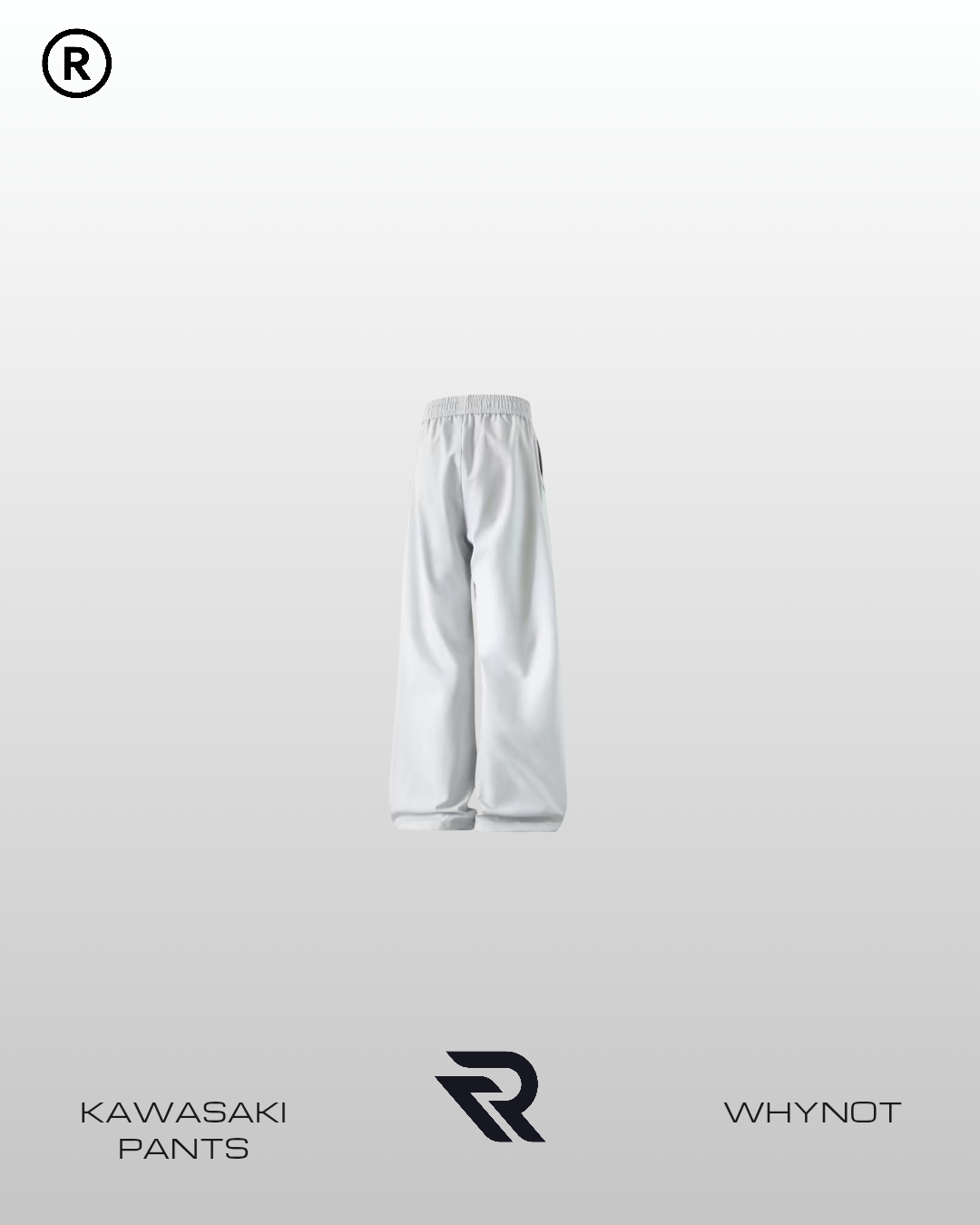 Kawasaki Pants